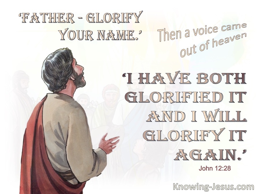 John 12:28 John Father Glorify Your name (brown)